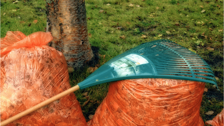 Selling in Autumn: rake away leaves