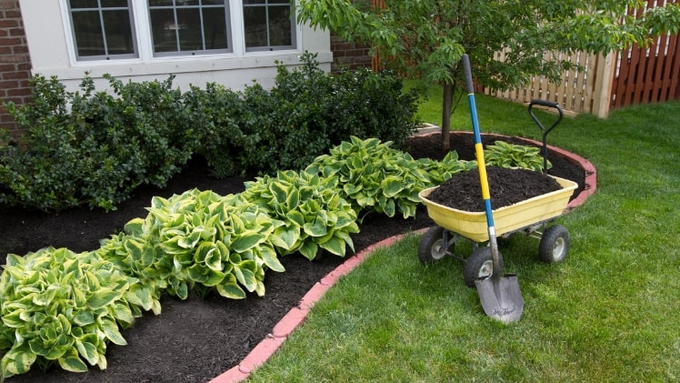 Landscaping to increase property value
